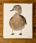 Framed Wood Duck